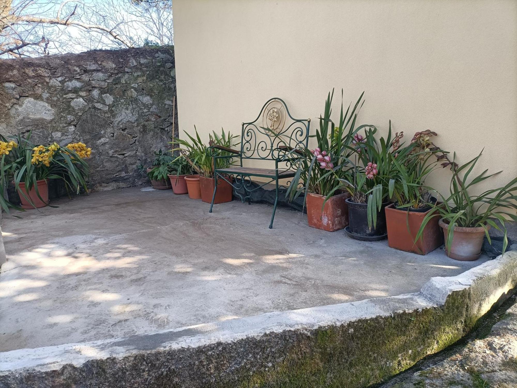 Casa De Santa Luzia A Apartment วีลาปรายา เด อันโกรา ภายนอก รูปภาพ